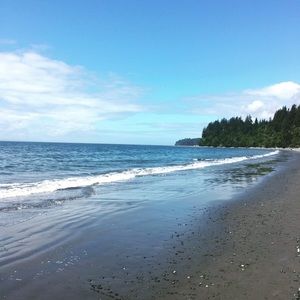 Meet your Posher, Gracie